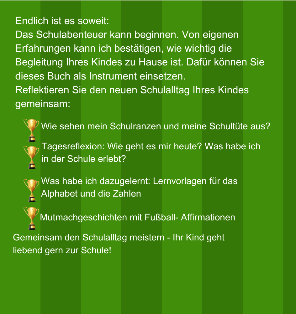 Rückseite des Einschulungsbuchs „Für den wunderbarsten Schuljungen der Welt“ – Informationen zum Buch, Alter 5–8 Jahre, Fußball